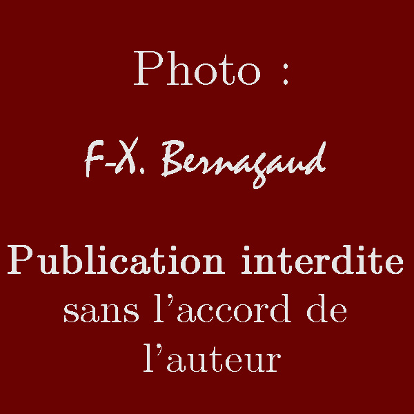 aubiers (106).jpg